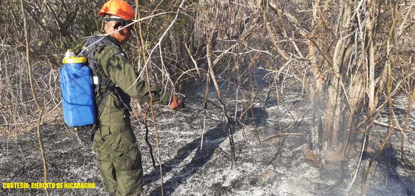 incendio-forestal